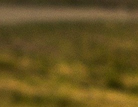 CANNERY ROW II | Apartments in Waunakee, WI